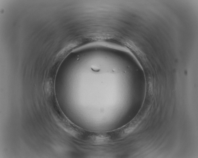 X0000064050165200601301222