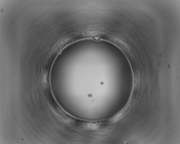 X0000064050166200601301222