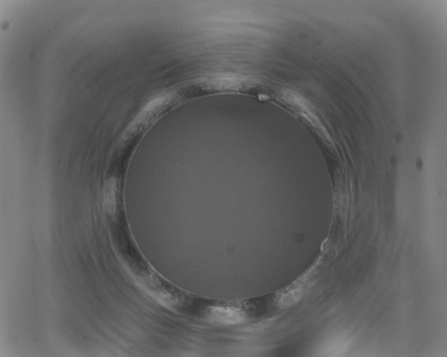 X0000064050167200601301222