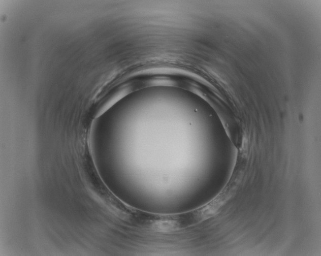 X0000064050168200601301222