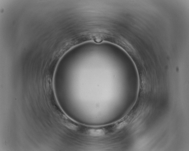 X0000064050169200601301222