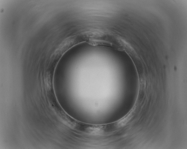 X0000064050170200601301222