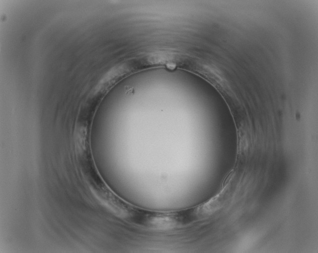 X0000064050171200601301222