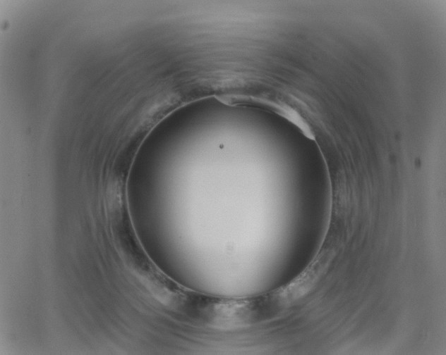 X0000064050172200601301222