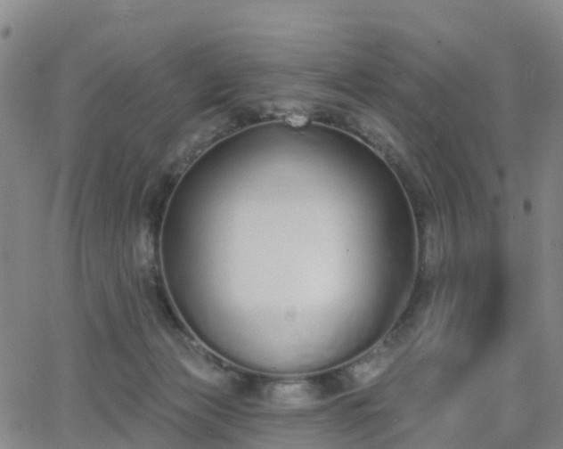 X0000064050173200601301222