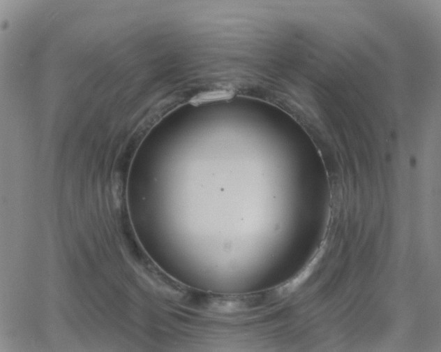 X0000064050174200601301222