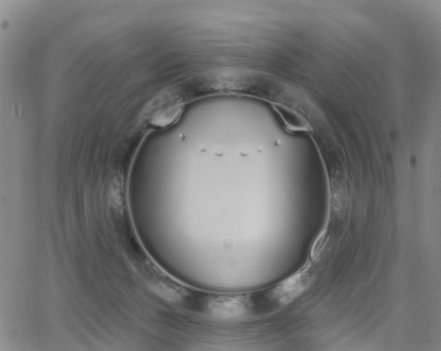 X0000064050175200601301222