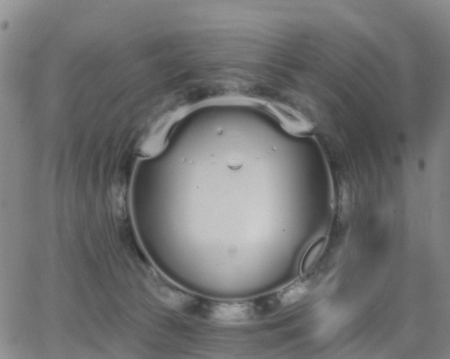 X0000064050177200601301222