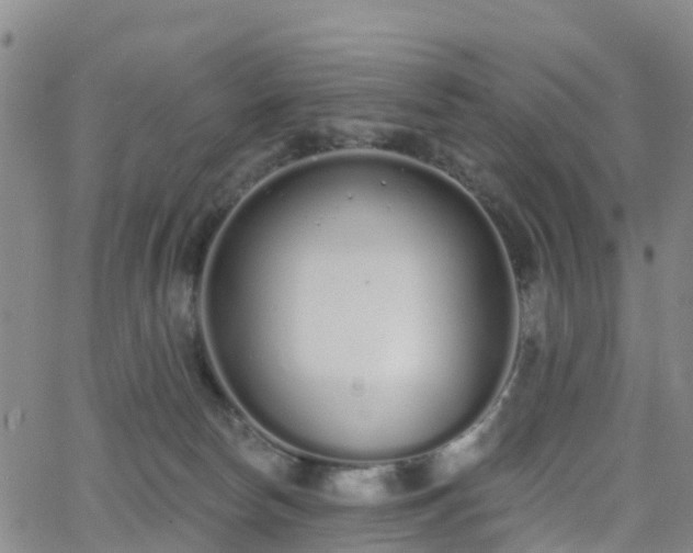 X0000064050178200601301222