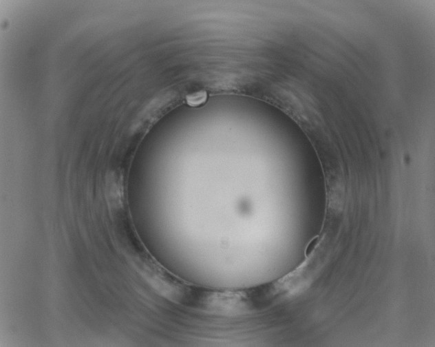 X0000064050179200601301222