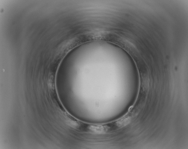 X0000064050181200601301223