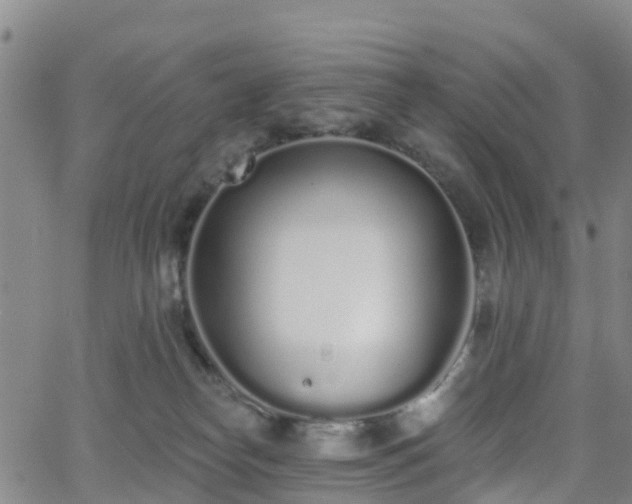 X0000064050182200601301223