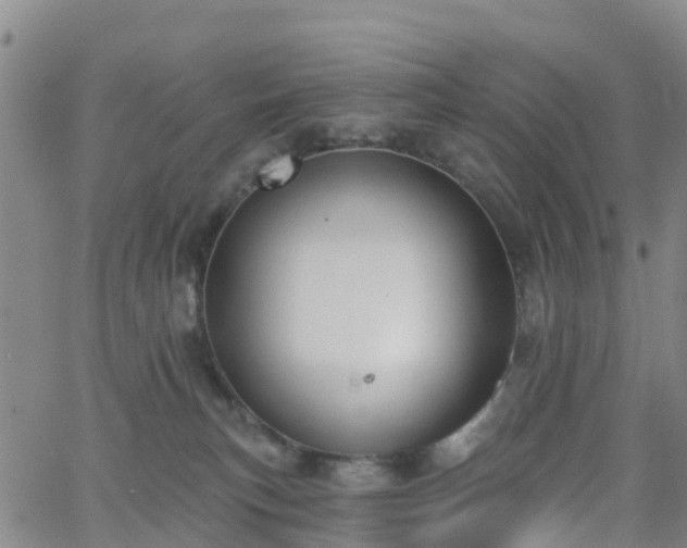 X0000064050183200601301223