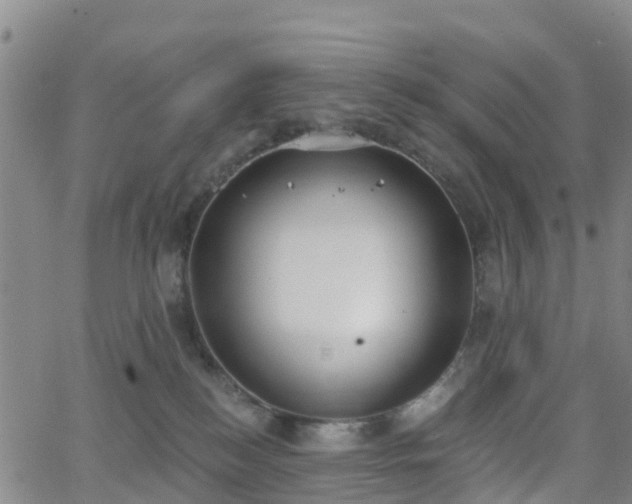 X0000064050184200601301223