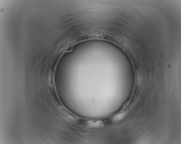 X0000064050185200601301223