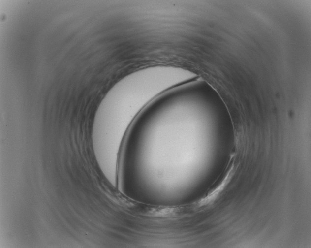 X0000064050186200601301223