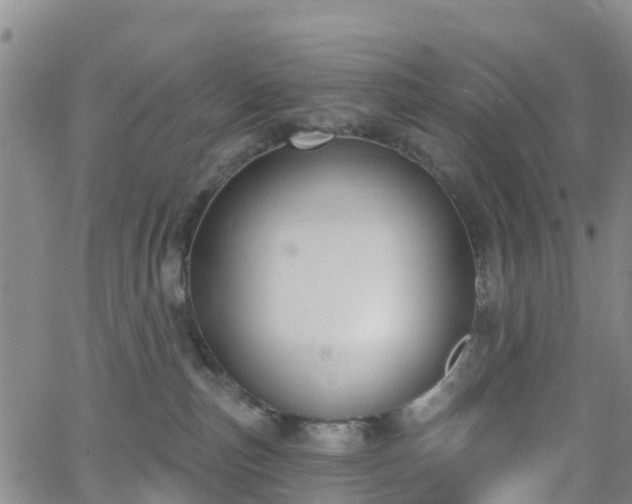 X0000064050187200601301223