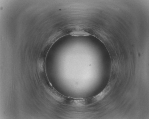 X0000064050188200601301223