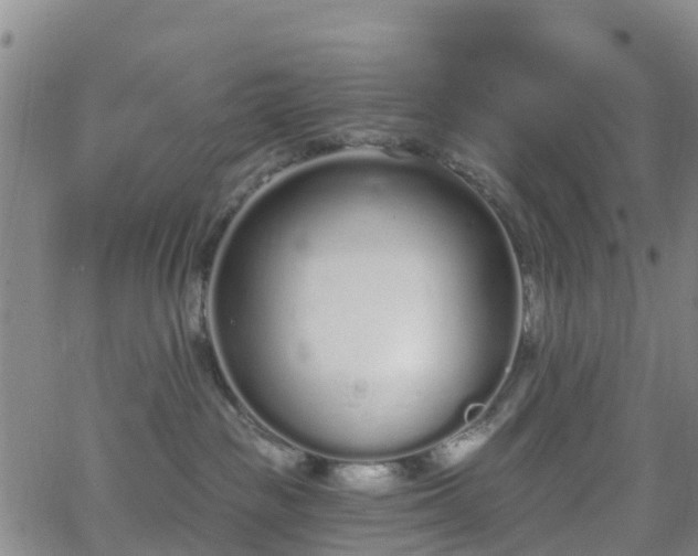 X0000064050189200601301223