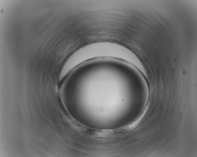 X0000064050190200601301223