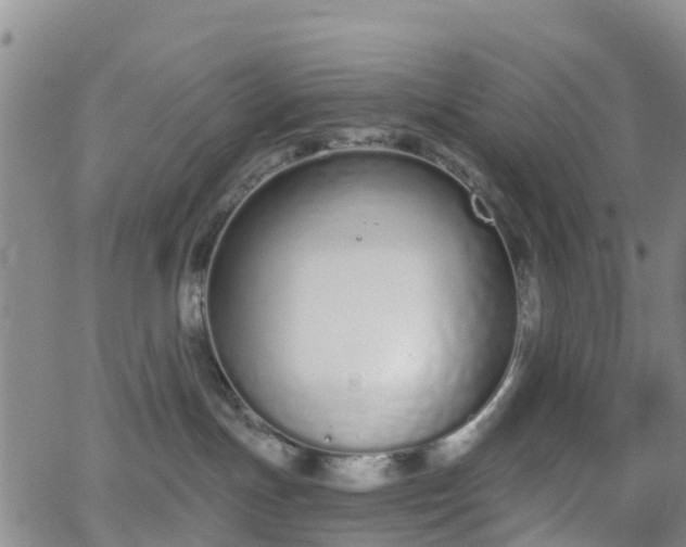 X0000064050191200601301223