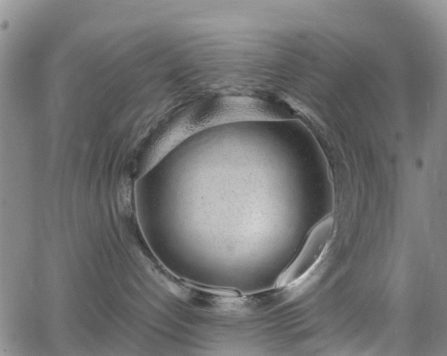 X0000064050192200601301223