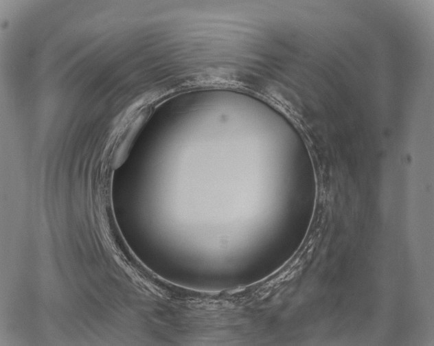 X0000064050193200601301222