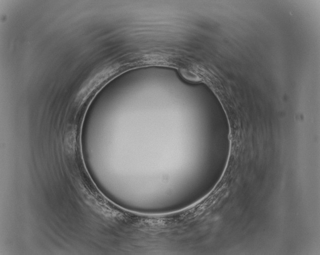 X0000064050194200601301222