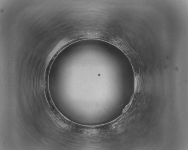 X0000064050195200601301222