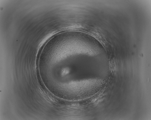 X0000064050196200601301222