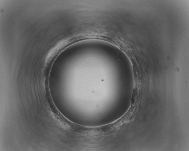 X0000064050197200601301222