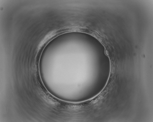 X0000064050198200601301222