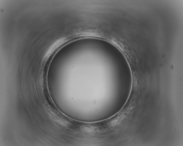 X0000064050199200601301222