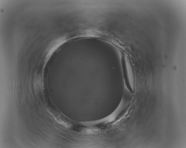 X0000064050200200601301222