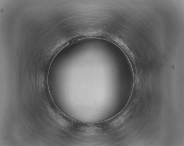 X0000064050201200601301222