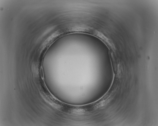 X0000064050203200601301222