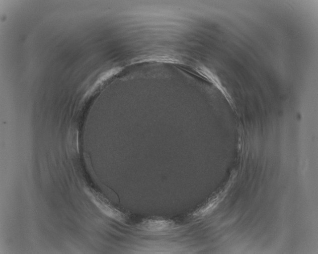 X0000064050205200601301222