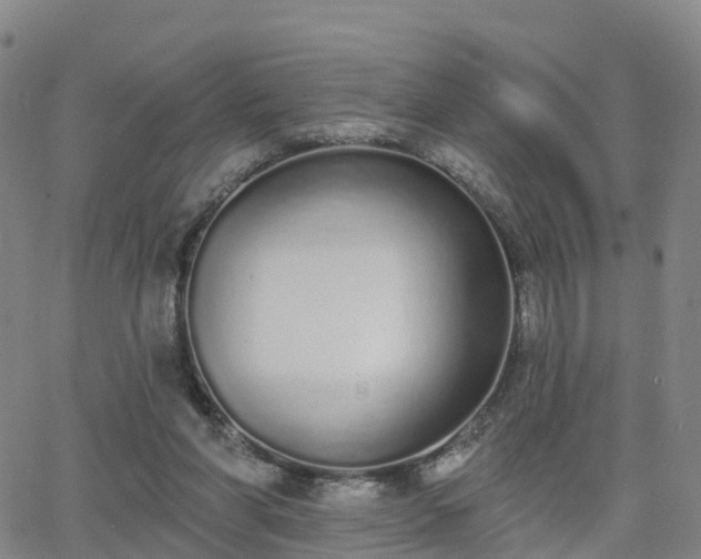 X0000064050206200601301222