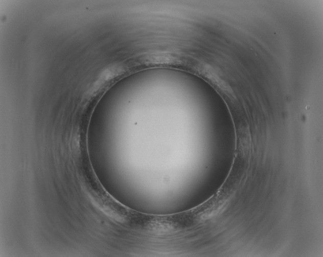 X0000064050207200601301222