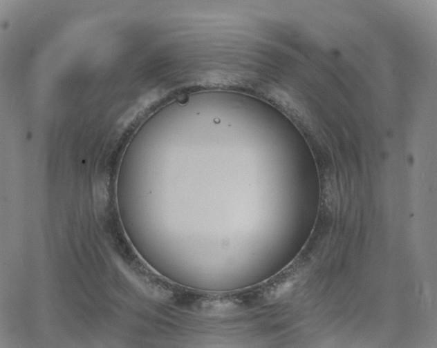 X0000064050208200601301222