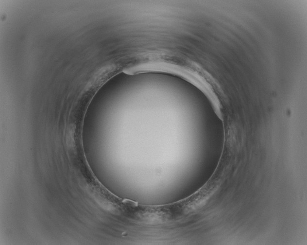 X0000064050209200601301222