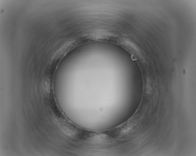 X0000064050210200601301222