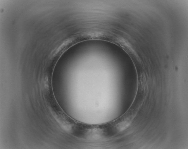 X0000064050212200601301222