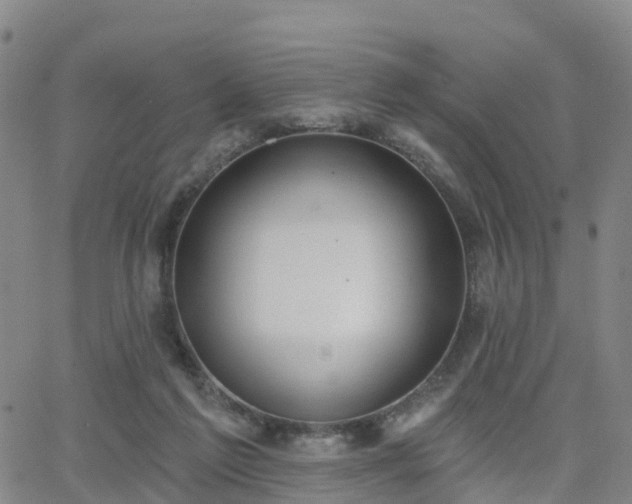 X0000064050213200601301222