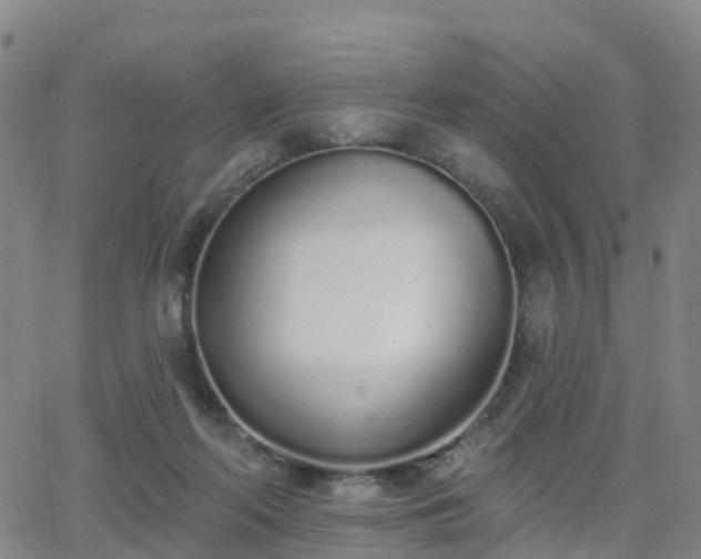 X0000064050214200601301222