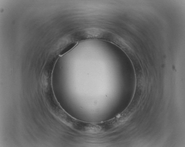 X0000064050215200601301222