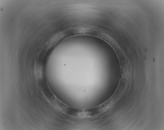 X0000064050216200601301222