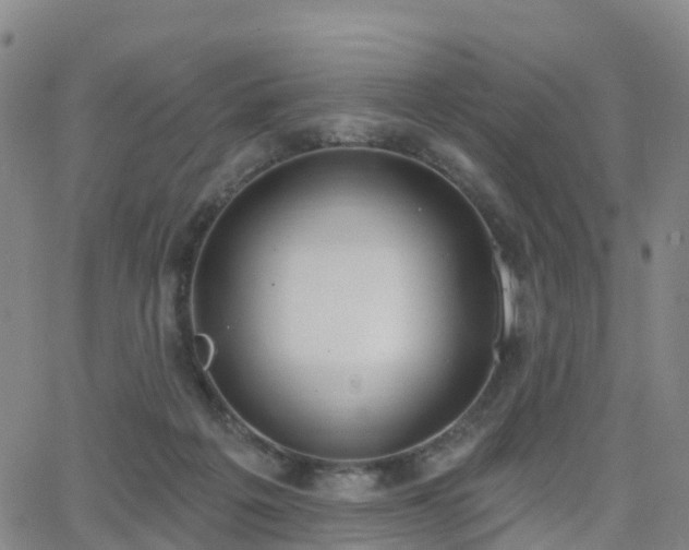 X0000064050217200601301222