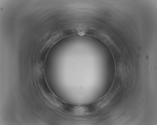 X0000064050218200601301222