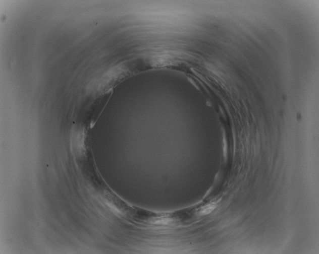 X0000064050219200601301221